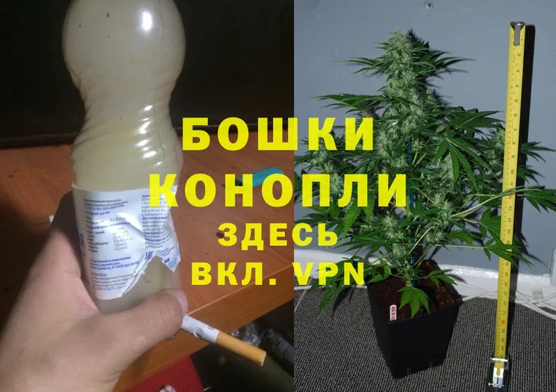 Марихуана SATIVA & INDICA  Нижняя Салда 